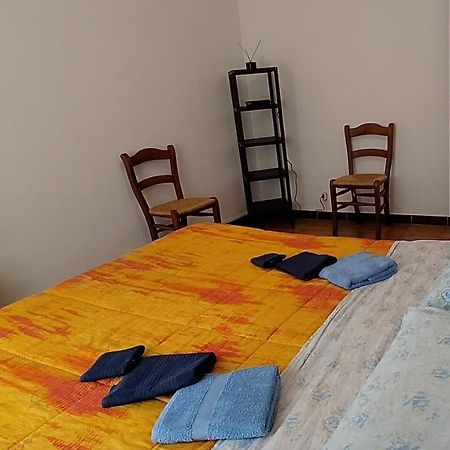 Pisa Central Station Room Rent Εξωτερικό φωτογραφία
